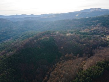 Osogovo Dağı 'nın hava manzarası, Kyustendil bölgesi, Bulgaristan