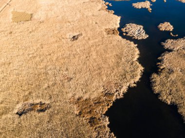 Bulgaristan 'ın Sofya bölgesindeki Dragoman bataklığının havadan sonbahar manzarası