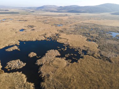 Bulgaristan 'ın Sofya bölgesindeki Dragoman bataklığının havadan sonbahar manzarası