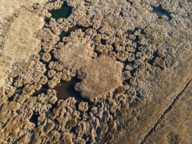 Bulgaristan 'ın Sofya bölgesindeki Dragoman bataklığının havadan sonbahar manzarası