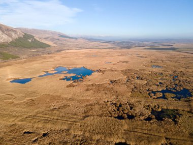 Bulgaristan 'ın Sofya bölgesindeki Dragoman bataklığının havadan sonbahar manzarası