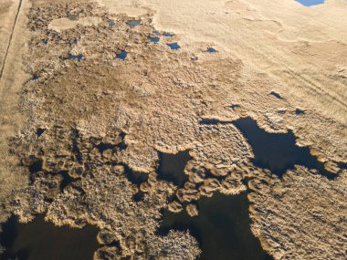 Bulgaristan 'ın Sofya bölgesindeki Dragoman bataklığının havadan sonbahar manzarası