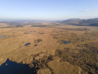 Bulgaristan 'ın Sofya bölgesindeki Dragoman bataklığının havadan sonbahar manzarası
