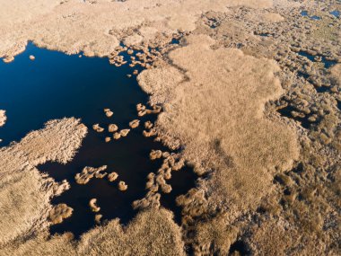 Bulgaristan 'ın Sofya bölgesindeki Dragoman bataklığının havadan sonbahar manzarası