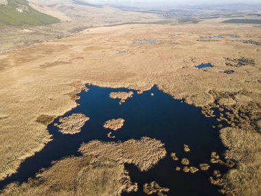 Bulgaristan 'ın Sofya bölgesindeki Dragoman bataklığının havadan sonbahar manzarası