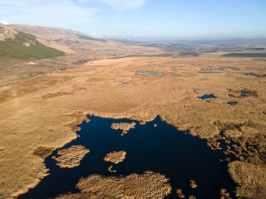 Bulgaristan 'ın Sofya bölgesindeki Dragoman bataklığının havadan sonbahar manzarası