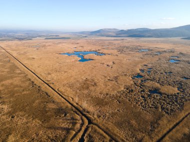 Bulgaristan 'ın Sofya bölgesindeki Dragoman bataklığının havadan sonbahar manzarası
