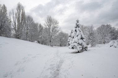 Bulgaristan 'ın Sofya kentindeki South Park' ın şaşırtıcı kış manzarası