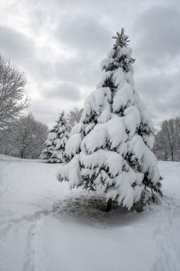Bulgaristan 'ın Sofya kentindeki South Park' ın şaşırtıcı kış manzarası