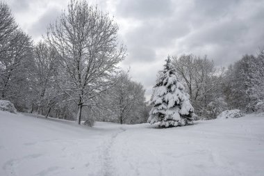 Bulgaristan 'ın Sofya kentindeki South Park' ın şaşırtıcı kış manzarası