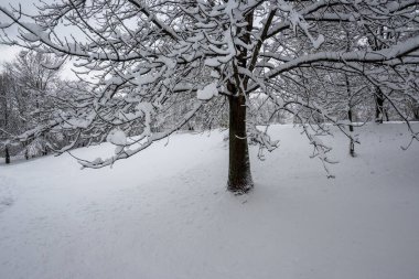 Bulgaristan 'ın Sofya kentindeki South Park' ın şaşırtıcı kış manzarası