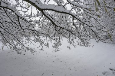 Bulgaristan 'ın Sofya kentindeki South Park' ın şaşırtıcı kış manzarası