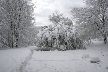 Bulgaristan 'ın Sofya kentindeki South Park' ın şaşırtıcı kış manzarası