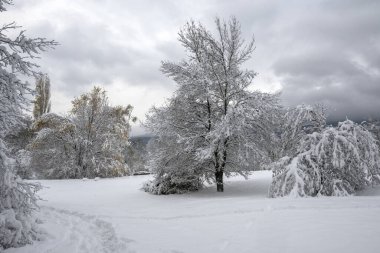 Bulgaristan 'ın Sofya kentindeki South Park' ın şaşırtıcı kış manzarası