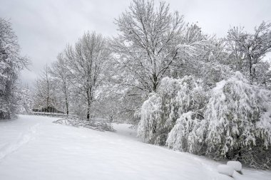 Bulgaristan 'ın Sofya kentindeki South Park' ın şaşırtıcı kış manzarası