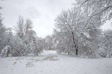 Bulgaristan 'ın Sofya kentindeki South Park' ın şaşırtıcı kış manzarası