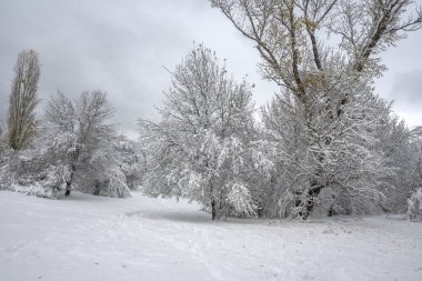Bulgaristan 'ın Sofya kentindeki South Park' ın şaşırtıcı kış manzarası