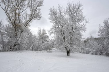 Bulgaristan 'ın Sofya kentindeki South Park' ın şaşırtıcı kış manzarası