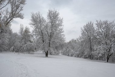 Bulgaristan 'ın Sofya kentindeki South Park' ın şaşırtıcı kış manzarası