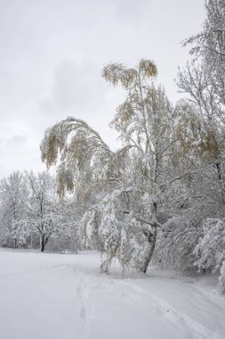 Bulgaristan 'ın Sofya kentindeki South Park' ın şaşırtıcı kış manzarası