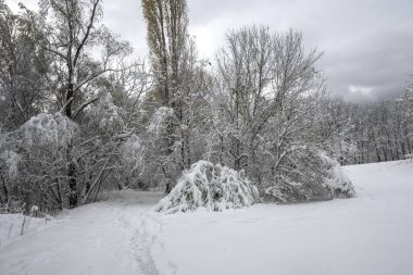 Bulgaristan 'ın Sofya kentindeki South Park' ın şaşırtıcı kış manzarası