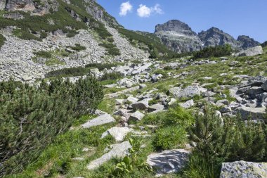 Amazing Summer landscape of Rila Mountain near Malyovitsa hut, Bulgaria
