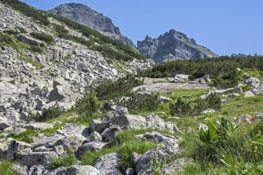 Amazing Summer landscape of Rila Mountain near Malyovitsa hut, Bulgaria