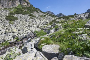 Amazing Summer landscape of Rila Mountain near Malyovitsa hut, Bulgaria
