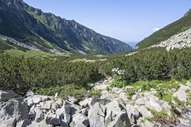 Amazing Summer landscape of Rila Mountain near Malyovitsa hut, Bulgaria