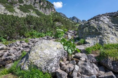 Amazing Summer landscape of Rila Mountain near Malyovitsa hut, Bulgaria