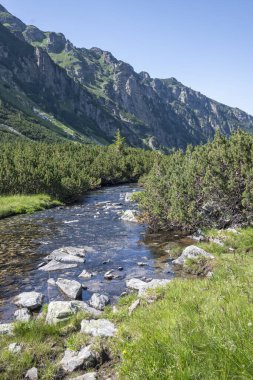 Amazing Summer landscape of Rila Mountain near Malyovitsa hut, Bulgaria