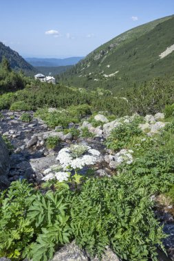 Amazing Summer landscape of Rila Mountain near Malyovitsa hut, Bulgaria