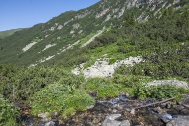 Amazing Summer landscape of Rila Mountain near Malyovitsa hut, Bulgaria