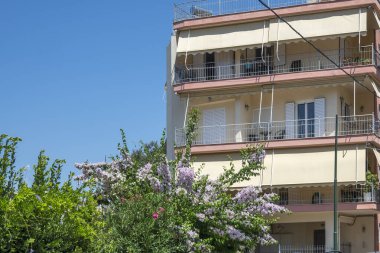 ARTA, EPIRUS, GREECE - 21 Ağustos 2023: Tipik Sokak ve Yunanistan 'ın Epirus kentindeki bina