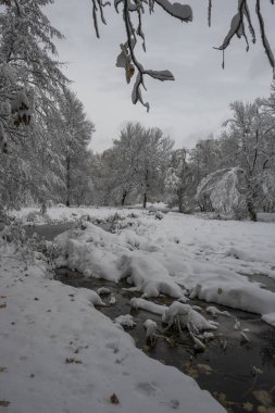 Bulgaristan 'ın Sofya kentindeki South Park' ın şaşırtıcı kış manzarası
