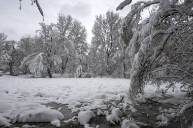Bulgaristan 'ın Sofya kentindeki South Park' ın şaşırtıcı kış manzarası
