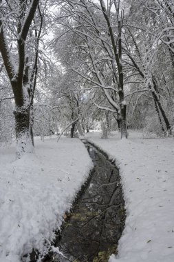 Bulgaristan 'ın Sofya kentindeki South Park' ın şaşırtıcı kış manzarası