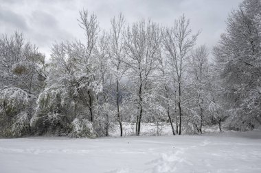 Bulgaristan 'ın Sofya kentindeki South Park' ın şaşırtıcı kış manzarası