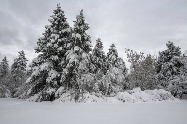 Bulgaristan 'ın Sofya kentindeki South Park' ın şaşırtıcı kış manzarası
