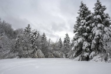 Bulgaristan 'ın Sofya kentindeki South Park' ın şaşırtıcı kış manzarası