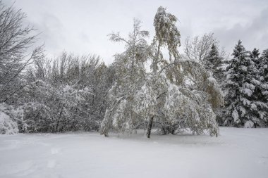 Bulgaristan 'ın Sofya kentindeki South Park' ın şaşırtıcı kış manzarası