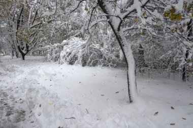 Bulgaristan 'ın Sofya kentindeki South Park' ın şaşırtıcı kış manzarası