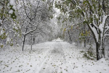 Bulgaristan 'ın Sofya kentindeki South Park' ın şaşırtıcı kış manzarası