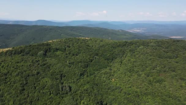 Καταπληκτικό Καλοκαιρινό Τοπίο Του Βουνού Rudina Pernik Region Βουλγαρία — Αρχείο Βίντεο
