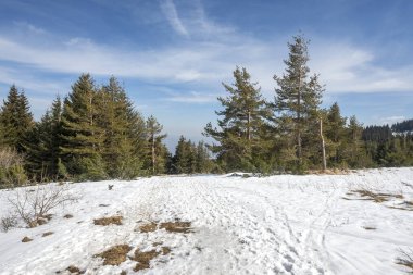 Vitosha Dağı 'nın kış manzarası, Sofya Şehir Bölgesi, Bulgaristan