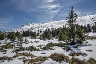 Vitosha Dağı 'nın kış manzarası, Sofya Şehir Bölgesi, Bulgaristan