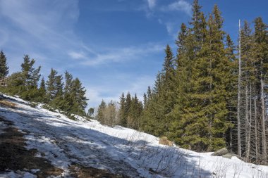 Vitosha Dağı 'nın kış manzarası, Sofya Şehir Bölgesi, Bulgaristan