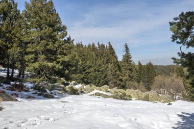 Vitosha Dağı 'nın kış manzarası, Sofya Şehir Bölgesi, Bulgaristan