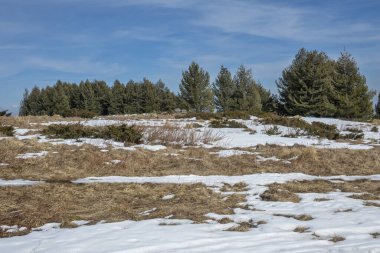 Vitosha Dağı 'nın kış manzarası, Sofya Şehir Bölgesi, Bulgaristan