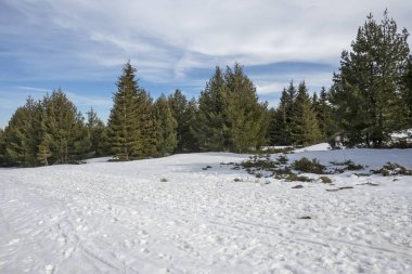 Vitosha Dağı 'nın kış manzarası, Sofya Şehir Bölgesi, Bulgaristan